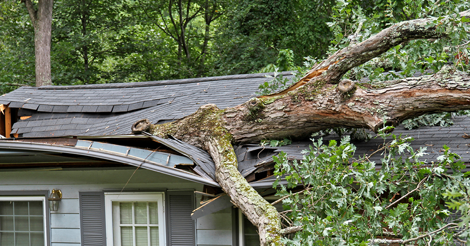 large fallen tree branch on top of damaged house roof