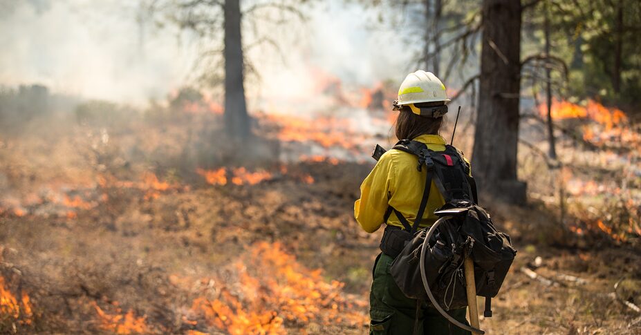 firefighter working to control los angeles wildfire